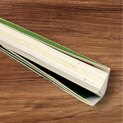 書籍 これから始める人のゴルフ入門の画像