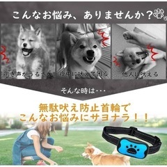 犬の無駄吠え防止首輪の画像