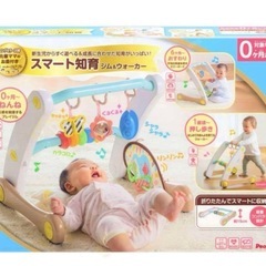 【欠品なし】スマート知育　ジム&ウォーカーの画像