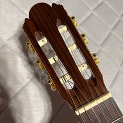 アルトギター　ハードケース、弦付きの画像