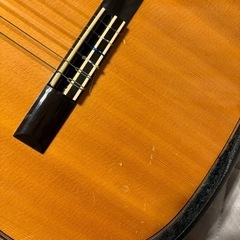 アルトギター　ハードケース、弦付きの画像