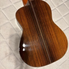 アルトギター　ハードケース、弦付きの画像