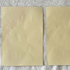 恐竜のシール2枚の画像