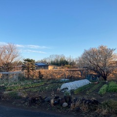 今週