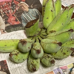 ≪ジャスミンが満開です！≫、うゎーびナナ、2.7kg、沖縄南部産の画像