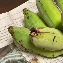 ≪ジャスミンが満開です！≫、うゎーびナナ、2.7kg、沖縄南部産の画像