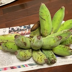 ≪プルメリアが咲きました！≫、どぅしぐゎーナナ、2.4kg、沖縄南部産の画像