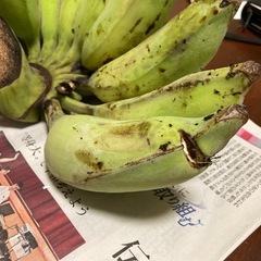 ≪プルメリアが咲きました！≫、どぅしぐゎーナナ、2.4kg、沖縄南部産の画像