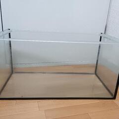 60センチガラス水槽 蓋付きの画像