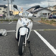 shモード125cc
の画像