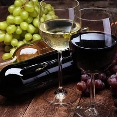 ワイン一緒に学びたい人🍷