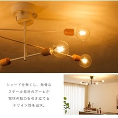 シーリングライト+調光電球の画像