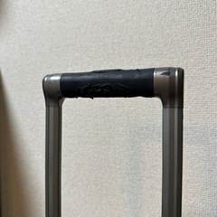RICARDO 機内サイズ　スーツケースの画像