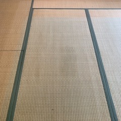 畳複数枚の画像