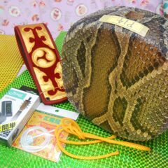 P14新品未使用現品販売15.980円　沖縄三線専用　蛇皮強化チーガ、胴巻き、調弦チューナー、三種弦セットの画像
