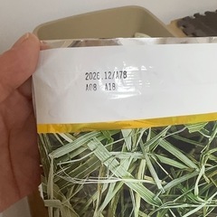うさぎ用品の画像