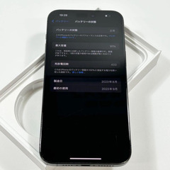 不具合なし　iPhone 15 Pro Max｜1024gb｜国内でSIMフリーの画像
