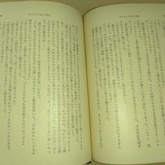 『チャタレイ夫人の恋人』ロレンス　新潮文庫の画像
