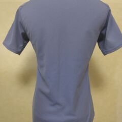 Ｔシャツ　パープル　レディースの画像