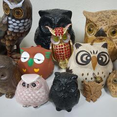 フクロウセットの画像
