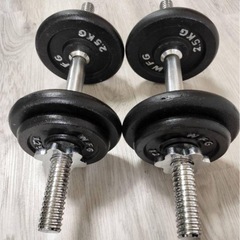 ダンベル　ダンベルプレート　20kg 筋トレの画像