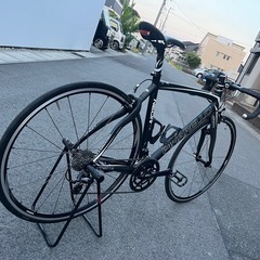 ピナレロ　ネオール　2014　名古屋の画像