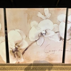 インテリアパネル アート　キャンパス地 ウッドパネル プリント 胡蝶蘭 サイズ500x500(mm)Ｘ3枚セットの画像