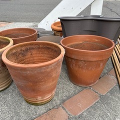 鉢植え10個の画像