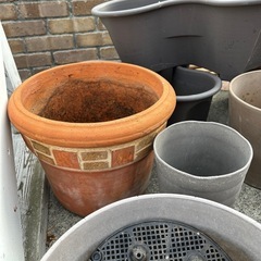 鉢植え10個の画像