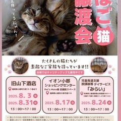 譲渡会で待っています🐾動画付き🐾 − 福岡県