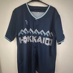 日本 ハム ファイターズの中古が安い！激安で譲ります・無料で