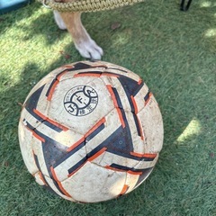 処分予定　サッカーボール5号の画像