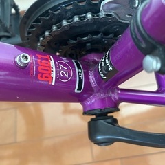 ルイガノ J22 midnight purpleの画像