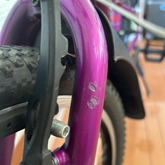 ルイガノ J22 midnight purpleの画像