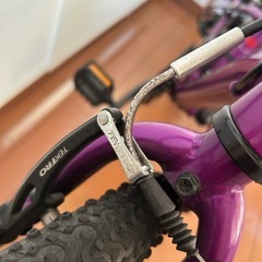 ルイガノ J22 midnight purpleの画像