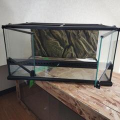 ジェックス　グラステラ6030の画像