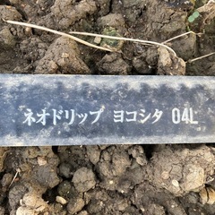 灌水チューブ（ネオドリップヨコシタ04）約600Mの画像