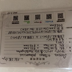 パラワンオオヒラタクワガタ幼虫の画像
