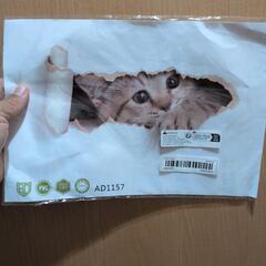 使い捨て不繊維キャップの画像