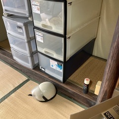 衣装ケースの画像