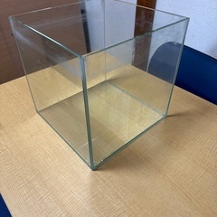 26センチキューブ水槽の画像