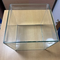 26センチキューブ水槽の画像