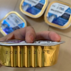 犬　フード　ごはん　シニア　　
の画像