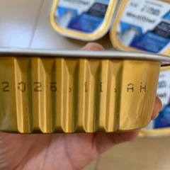 犬　フード　ごはん　シニア　　
の画像