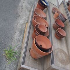 植木鉢、無料です、の画像