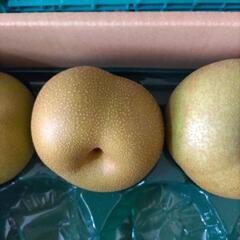 【幸水】　岐阜県大垣産　2個入　税込400円の画像