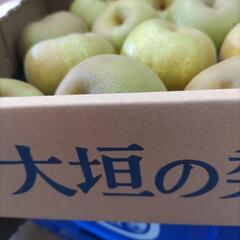 【幸水】　岐阜県大垣産　2個入　税込400円の画像