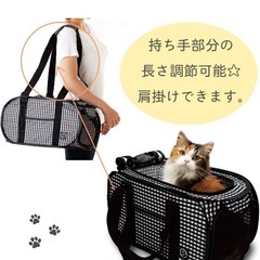 猫壱 キャリーバッグ（小型犬・猫用　うさぎ　小動物） の画像
