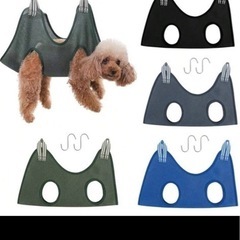 犬　色々セットの画像