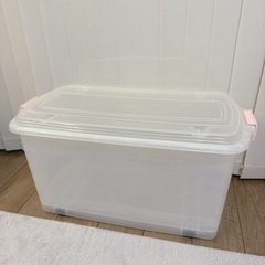 衣装ケース　収納ケース　収納　ケース　箱　ボックス　BOX　2個　セット　まとめ売りの画像